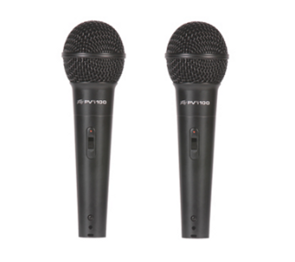 Peavey PVi 100 (2 Pack)