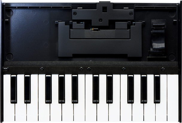 Roland DJ K-25M - Roland Boutique optional Keyboard for Sound Module