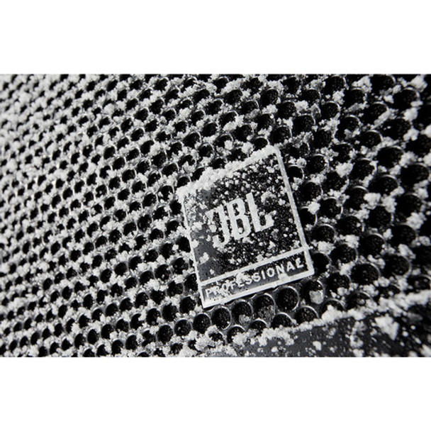JBL AW266 High Power 2-Way All-Weather Loudspeaker with 12" LF (Black)