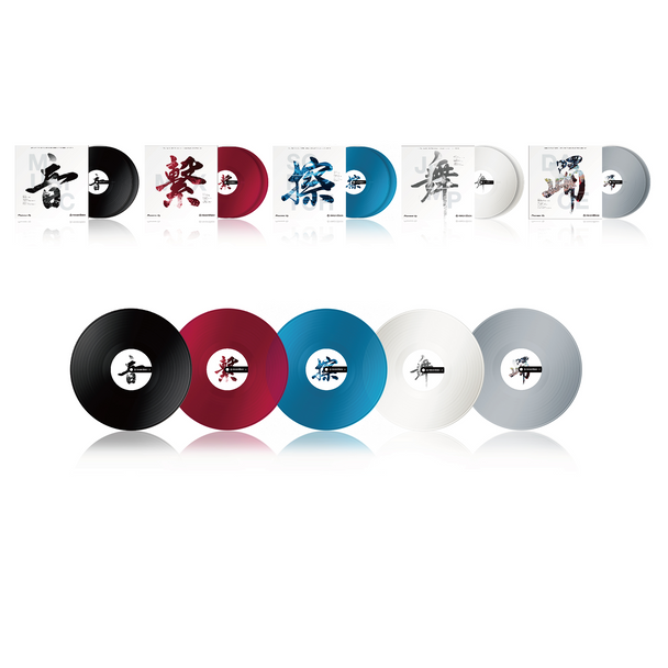 Pioneer DJ RB-VD2 Rekordbox Control Vinyl – Transparent (2-Pack)