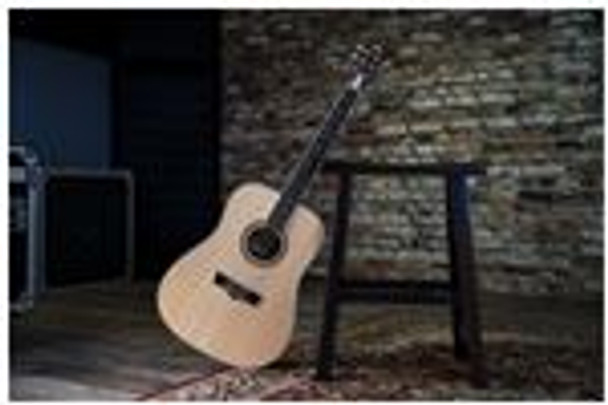 Peavey 3620190 DW-1 Acoustic Guitar with Bag