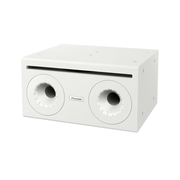 Pioneer Pro Audio CM-510ST 10" Subwoofer