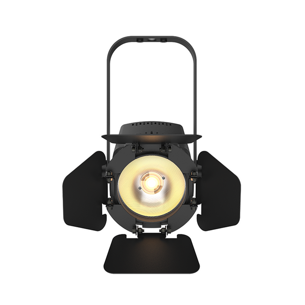 Chauvet DJ EVE TF-20X Black Soft Edge Accent Fresnel Luminaires with Lighting Transport Bag Package
