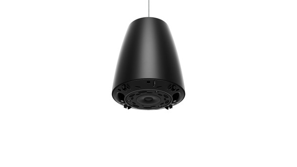 Bose Professional DesignMax DM3P Pendant Loudspeaker (Pair)