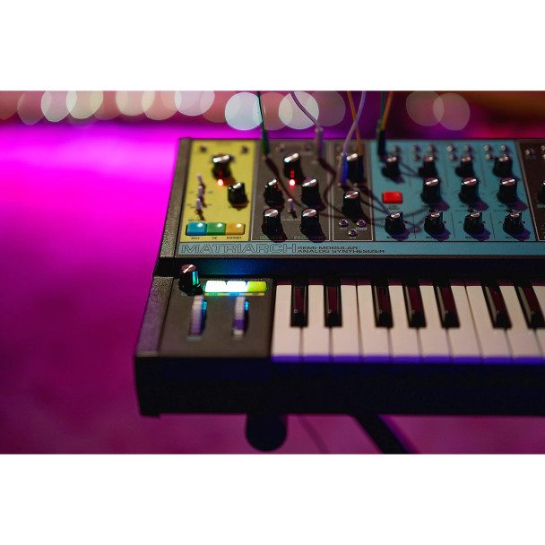 Moog Matriarch Patchable 4-Note Paraphonic Analog Synthesizer