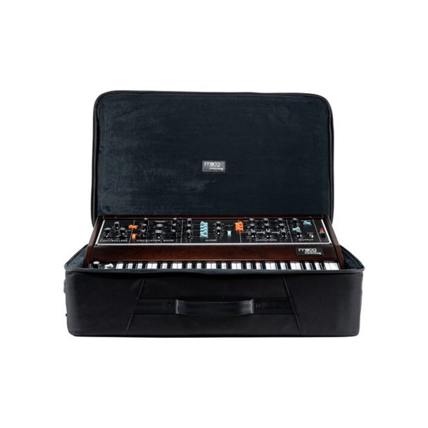 Moog Minimoog Model D SR Series Case