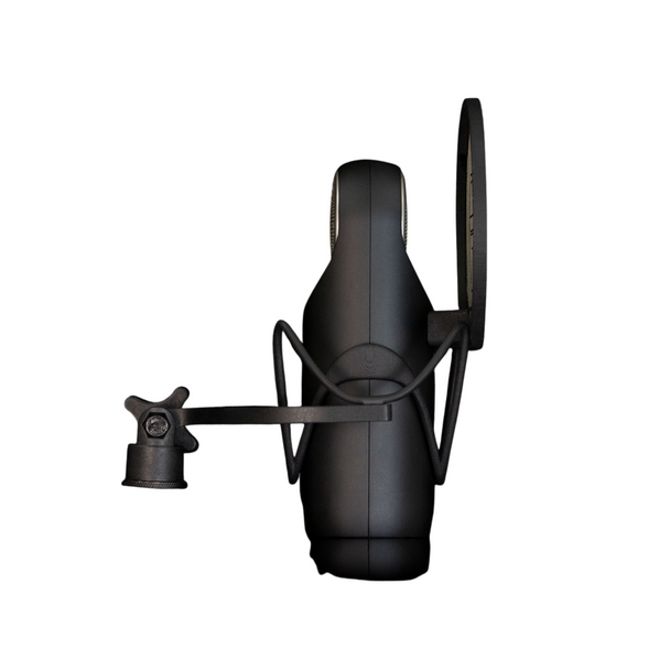 Aston Microphones Aston Element Active Large-Diaphragm Dynamic Microphone Bundle