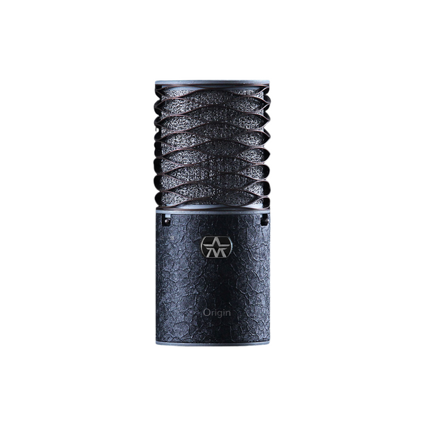 Aston Microphones Spirit Black Bundle Large-Diaphragm Multipattern Condenser Microphone with Swiftshield