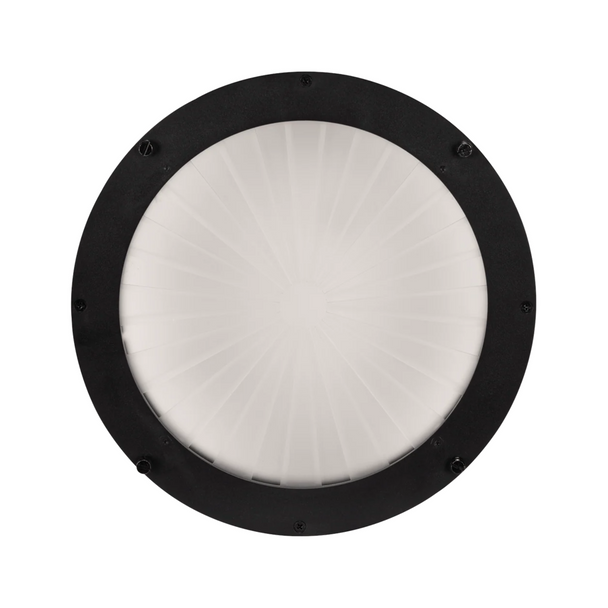 Elation Lighting FUZE WASH 500 RADIAL FROST