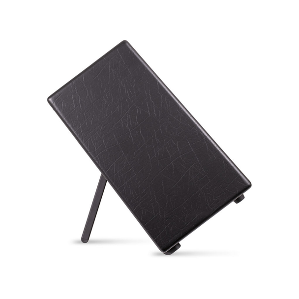 Blackstar Artist FR Special 100W 1x12 FRFR Speaker Cabinet with Kickstand