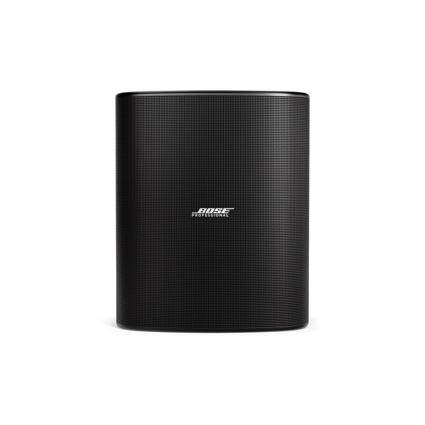 Bose DesignMax DM12SE 12-Inch Coaxial Surface-Mount Loudspeaker