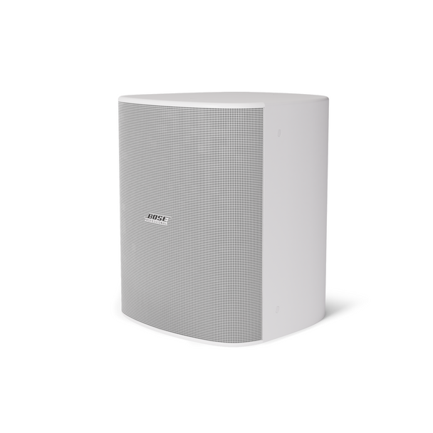 Bose DesignMax DM12SE 12-Inch Coaxial Surface-Mount Loudspeaker