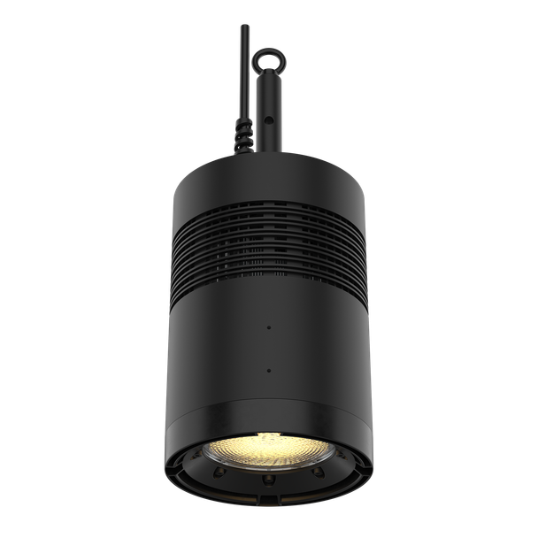 CHAUVET Professional Ovation Rêve H1 Black RGBCAM LED Houselight