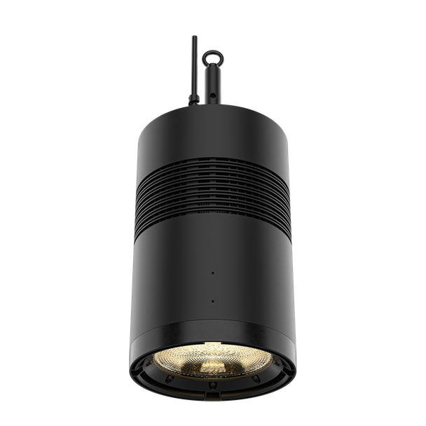 CHAUVET Professional Ovation Rêve H2 White RGBCAM LED Houselight
