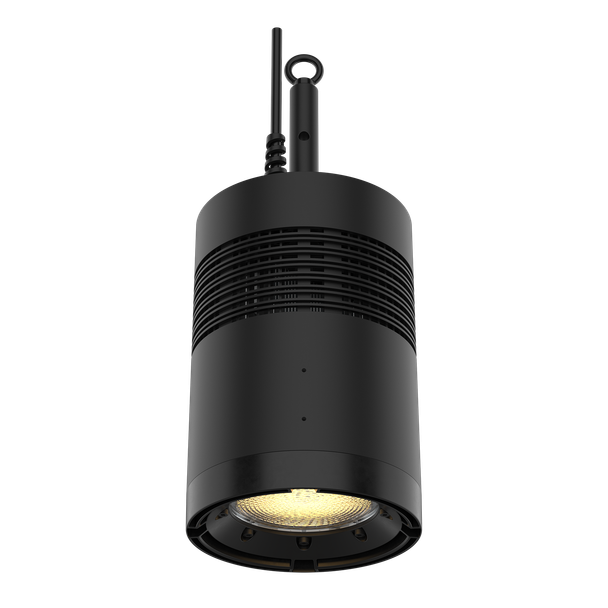 CHAUVET Professional Ovation Rêve H1 White RGBCAM LED Houselight