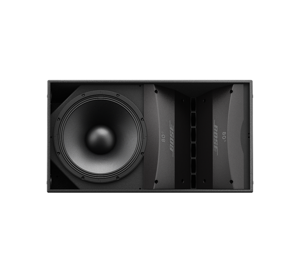 Bose ArenaMatch AM20/100 Outdoor Loudspeaker
