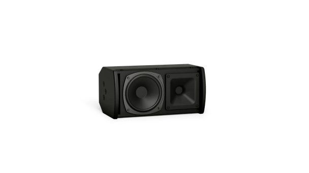 Bose ArenaMatch Utility AMU105 Outdoor Loudspeaker Black