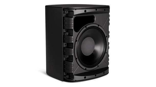 Bose DesignMax DM12SE Black Loudspeaker