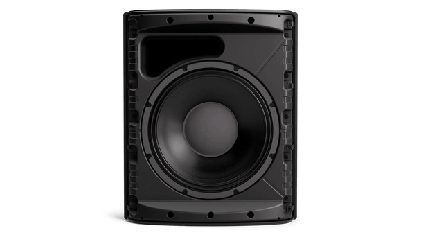 Bose DesignMax DM12SE Black Loudspeaker