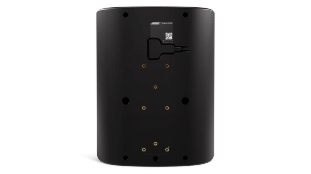 Bose DesignMax DM12SE Black Loudspeaker
