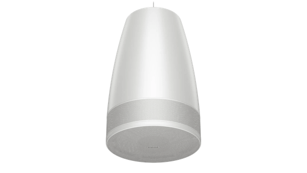 Bose DesignMax DML88P Black Loudspeaker