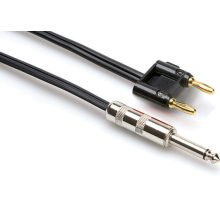 Hosa Speaker Cable - 1/4in TS to Dual Banana 5