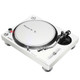 Pioneer DJ PLX-500-W High-Torque Direct Drive Turntable (White)