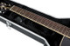 Gator Cases GC-APX APX-Style Guitar Case