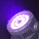 American DJ UV 72IP IP65 Rated Ultra Violet LED Par with WiFLY EXR Wireless DMX