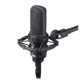 Audio-Technica AT4050ST - Side-address stereo condenser microphone