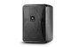 JBL CONTROL 25-1L - IMG01