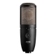 AKG P420 3101H00430 Multi-Pattern Condenser Microphone