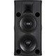 RCF VMAX-V45 Passive Dual 15" Speaker (Tour Grade Finish, Bi-Amp)