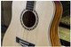 Peavey 3620190 DW-1 Acoustic Guitar with Bag