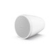 Bose Professional DesignMax DM3P Pendant Loudspeaker (Pair)