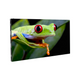 ADJ WMS2 2.6mm pixel pitch wall mount video wall, 1 meter x 1/2 meter