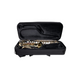 Gator Cases Lightweight Beginner Case for Alto Sax