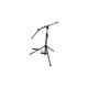 Gator Cases GFW-GTR-AMP-BOOM Amp Stand with Boom Arm