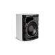 Bose DesignMax DM12SE 12-Inch Coaxial Surface-Mount Loudspeaker