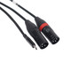 ProX 3FT USB-C to Dual XLR-M 