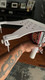 ProX Universal Laptop Tray + VESA Monitor Mounting Bracket fits on Speaker Stand 1-3/8" Pole White
