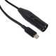 ProX 10FT USB-C to XLR-M 