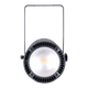 Jmaz Lighting JP4002 ZONA 5L Full-Spectrum RGBA+LIME LED House Light
