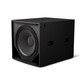 Bose ShowTime STS118E Subwoofer
