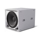 Bose ShowTime STS118E Subwoofer