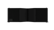 EAW NT208L Powered 8" 2-Way Line Array 80° 110° Asymmetric 95° H × 15° V Black