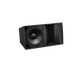 Bose ArenaMatch AM20/80 Outdoor Loudspeaker