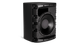 Bose DesignMax DM12SE Black Loudspeaker