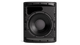 Bose DesignMax DM12SE Black Loudspeaker