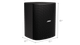Bose DesignMax DM12SE Black Loudspeaker